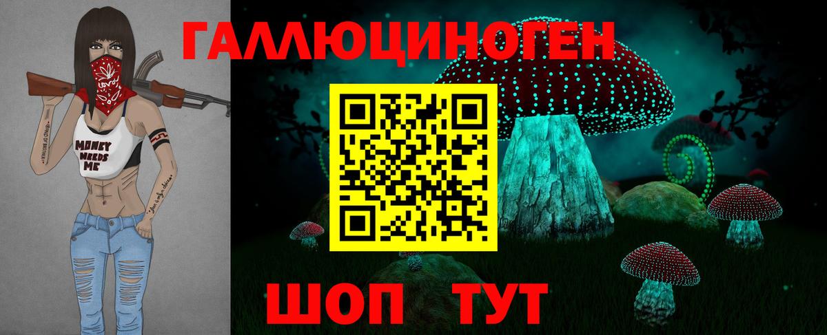 Дедовск  Галлюциногенные грибы Cubensis  Вход с VPN 